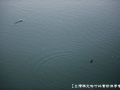 20171110-057
